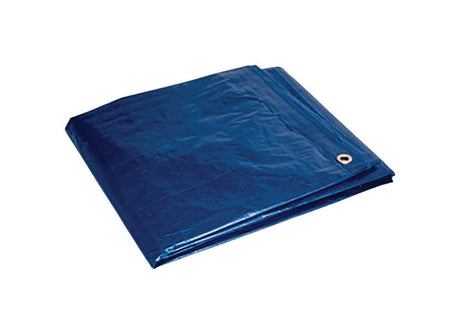 TARP BLUE 6'X8'