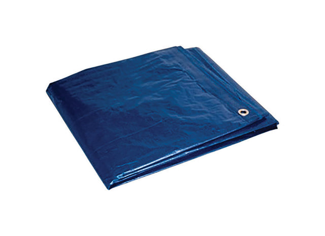 TARP BLUE 6'X8'