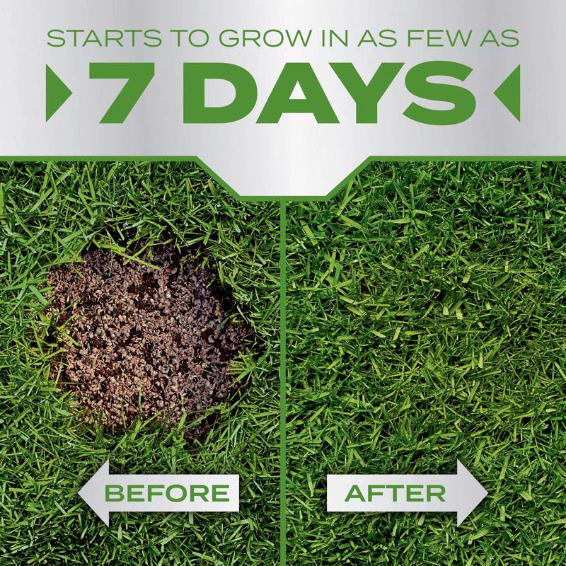 Scotts PatchMaster Tall Fescue Grass Sun or Shade Seed/Fertilizer/Mulch Repair Kit 10 lb