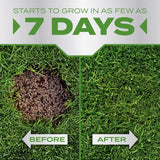 Scotts PatchMaster Tall Fescue Grass Sun or Shade Seed/Fertilizer/Mulch Repair Kit 10 lb