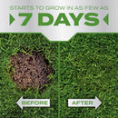 Scotts PatchMaster Tall Fescue Grass Sun or Shade Seed/Fertilizer/Mulch Repair Kit 10 lb