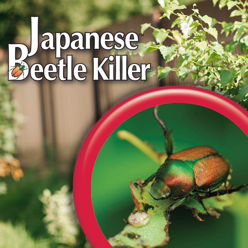 Bonide Japanese Beetle Killer Liquid 32 oz