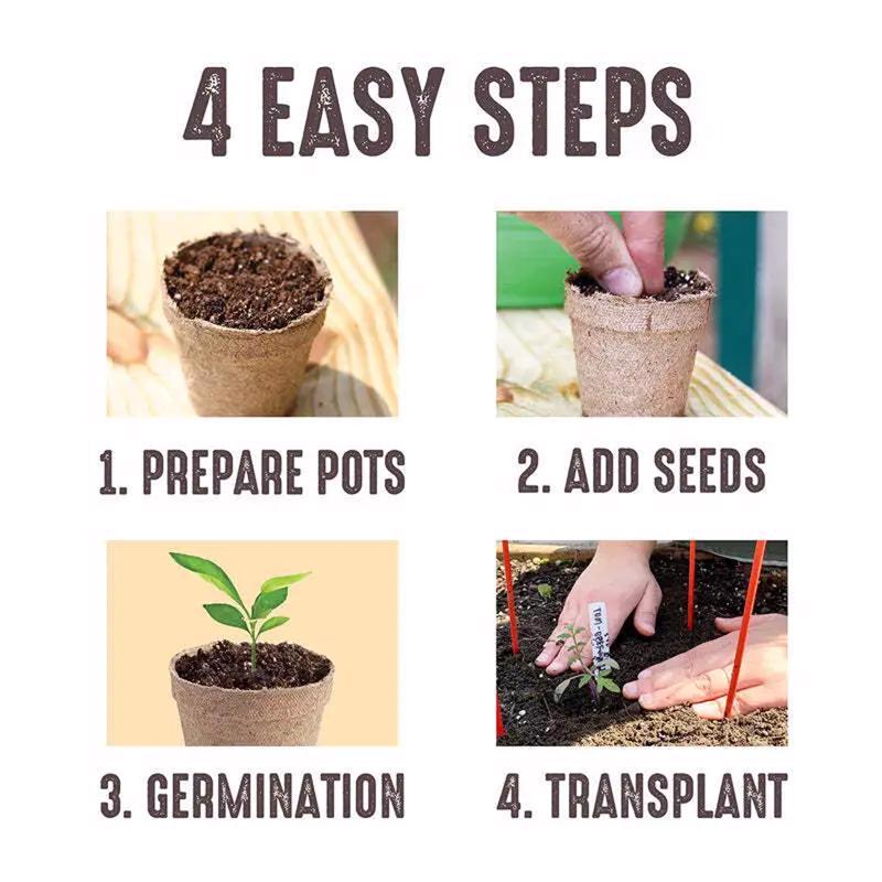 Jiffy 3 in. H Seed Starting Peat Pot 10 pk