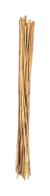 BAMBOO STAKE 60" 12PK