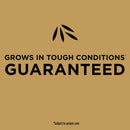 Scotts EZ Seed Bermuda Grass Sun or Shade Grass Spot Repair Seed 20 lb