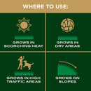 Scotts EZ Seed Bermuda Grass Sun or Shade Grass Spot Repair Seed 20 lb