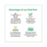 Jiffy 1 Cells 4 in. H X 4 in. W Seed Starting Peat Pot 6 pk