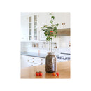 Back to the Roots Cherry Tomato Grow Kit 1 pk