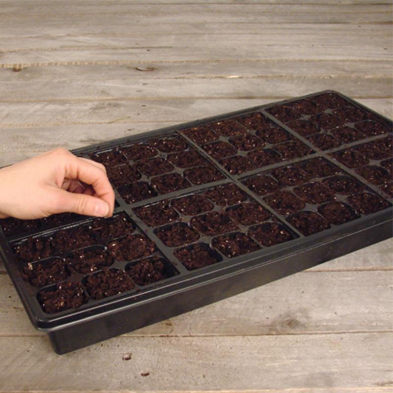 Jiffy Greenhouse 72 Cells 11 in. W X 22 in. L Seed Starting Kit 1 pk