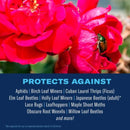 BioAdvanced Rose & Flower Care Granules Plant Food 4 lb