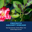 BioAdvanced Rose & Flower Care Granules Plant Food 4 lb