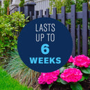 BioAdvanced Rose & Flower Care Granules Plant Food 4 lb