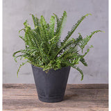 Novelty Artstone 7.7 in. H X 8.4 in. W X 8.4 in. D X 8.4 in. D Resin Cali Planter Black