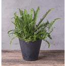 Novelty Artstone 7.7 in. H X 8.4 in. W X 8.4 in. D X 8.4 in. D Resin Cali Planter Black