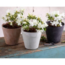 Novelty Artstone 7.7 in. H X 8.4 in. W X 8.4 in. D X 8.4 in. D Resin Cali Planter Black