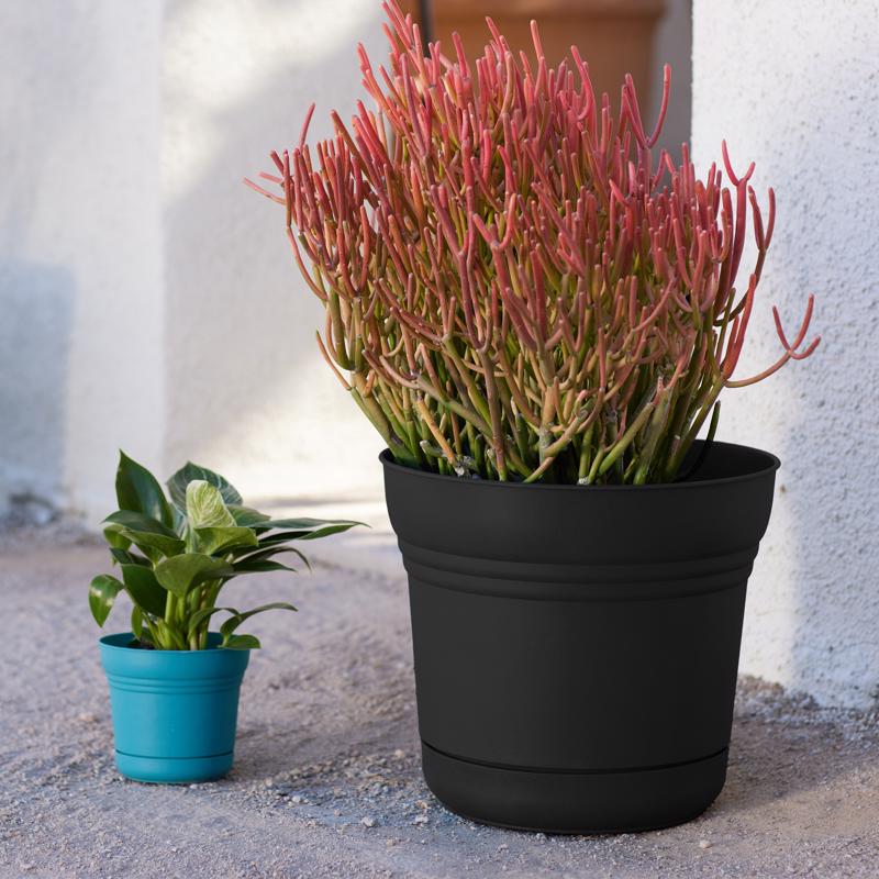 Bloem Saturn 10.75 in. H X 12 in. D Plastic Flower Pot Black