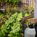 Spectracide Insect Killer Concentrate 32 oz