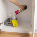 Hot Shot Ant and Roach Killer Aerosol 17.5 oz