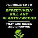 Ortho GroundClear Weed and Grass Killer RTU Liquid 1 gal