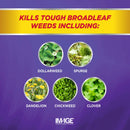 Lilly Miller Image Weed Killer RTU Liquid 32 oz