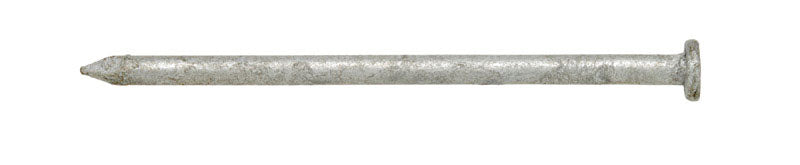 Ace 12D 3-1/4 in. Common Hot-Dipped Galvanized Steel Nail Flat Head 5 lb