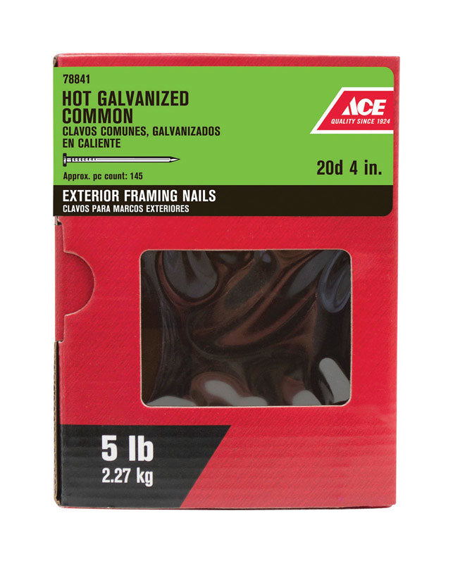 Ace 20D 4 in. Common Hot-Dipped Galvanized Steel Nail Flat Head 5 lb