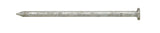 Ace 20D 4 in. Common Hot-Dipped Galvanized Steel Nail Flat Head 5 lb