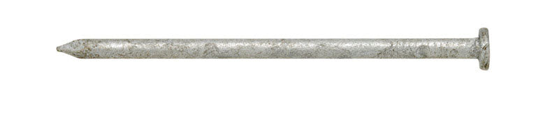 Ace 20D 4 in. Common Hot-Dipped Galvanized Steel Nail Flat Head 5 lb