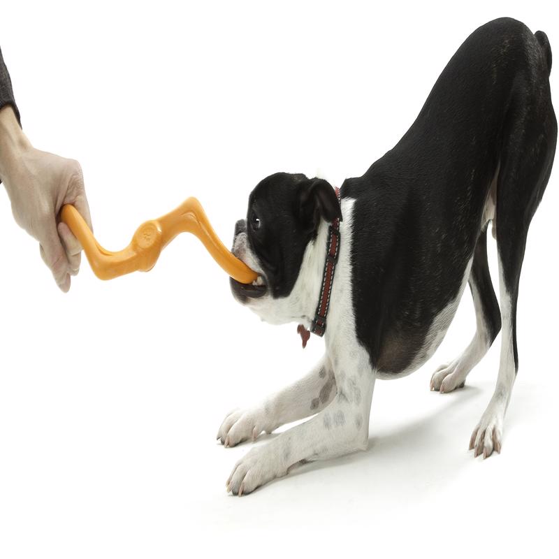 West Paw Zogoflex Blue Plastic Bumi Dog Tug Toy Large in. 1 pk