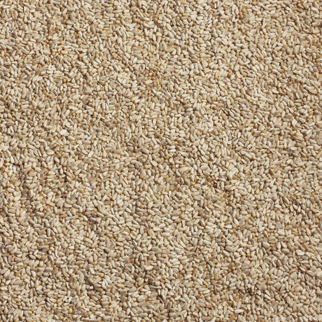 Kaytee Songbird Safflower Seeds Wild Bird Food 5 lb