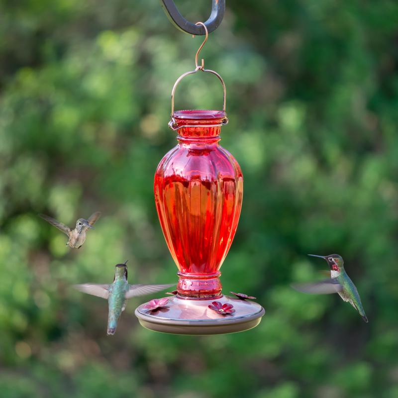 Perky-Pet Hummingbird 18 oz Glass Daisy Vase Vintage Nectar Bird Feeder 4 ports