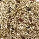 Wild Delight Bugs N' Berries Assorted Species Safflower Seeds Wild Bird Food 4.5 lb