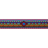 LupinePet Original Designs Multicolored El Paso Nylon Dog Leash