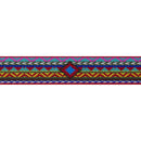 LupinePet Original Designs Multicolored El Paso Nylon Dog Leash