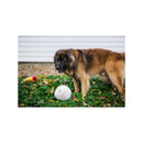 HuggleHounds Beige Fleece Ball Dog Toy Large 1 pk