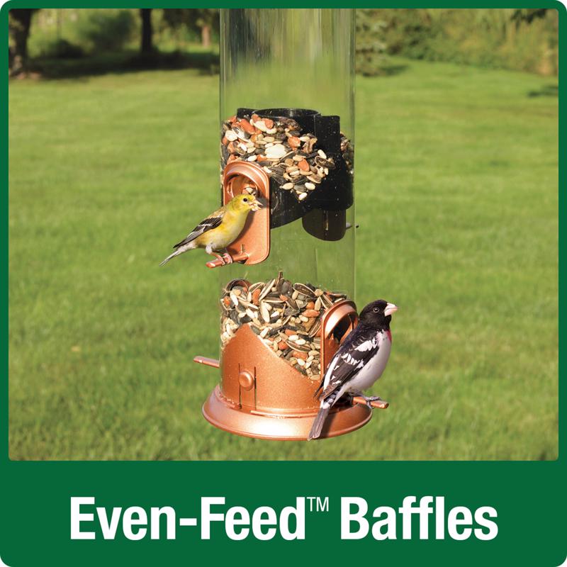 Nature's Way Easy Clean Wild Bird and Finch 3 qt Metal/Plastic Tube Bird Feeder 4 ports