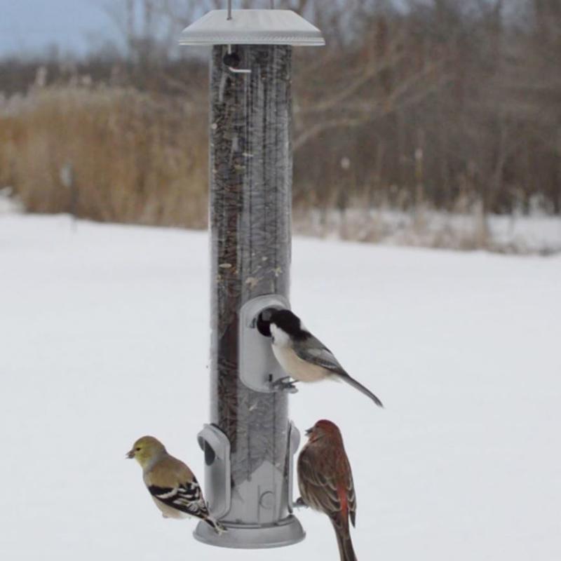 Nature's Way Deluxe Wild Bird and Finch 1.4 qt Metal/Plastic Easy Clean Tube Bird Feeder 4 ports