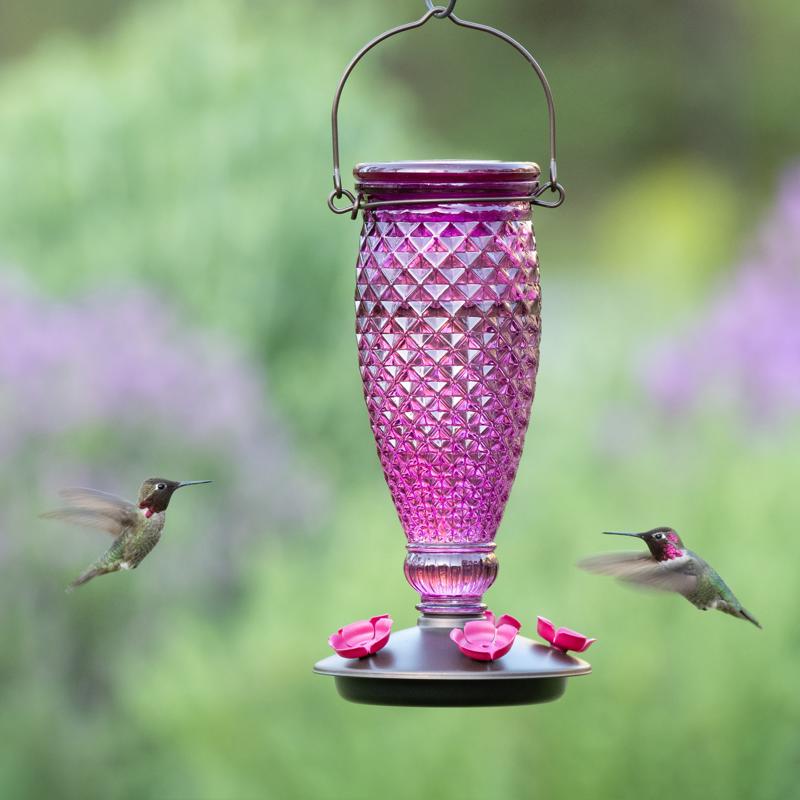 Perky-Pet Hummingbird 24 oz Glass/Plastic Diamond Wine Nectar Feeder 5 ports