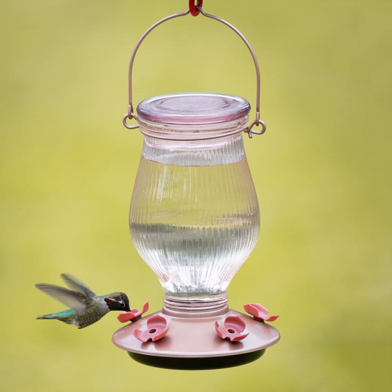 Perky-Pet Hummingbird 24 oz Glass/Plastic Nectar Feeder 5 ports