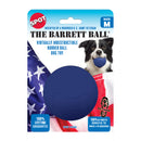 NS DOG BALL 4" BLU