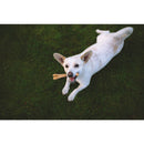 Spot Beige Bamboo Fibers Chicken Bone Pet Toy Large 1 pk