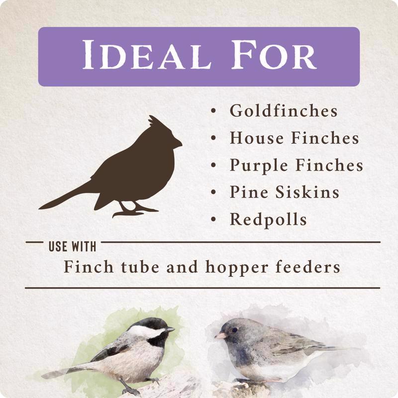 Songbird Selections Wild Finch Feast Wild Bird Seed Wild Bird Food 5 lb