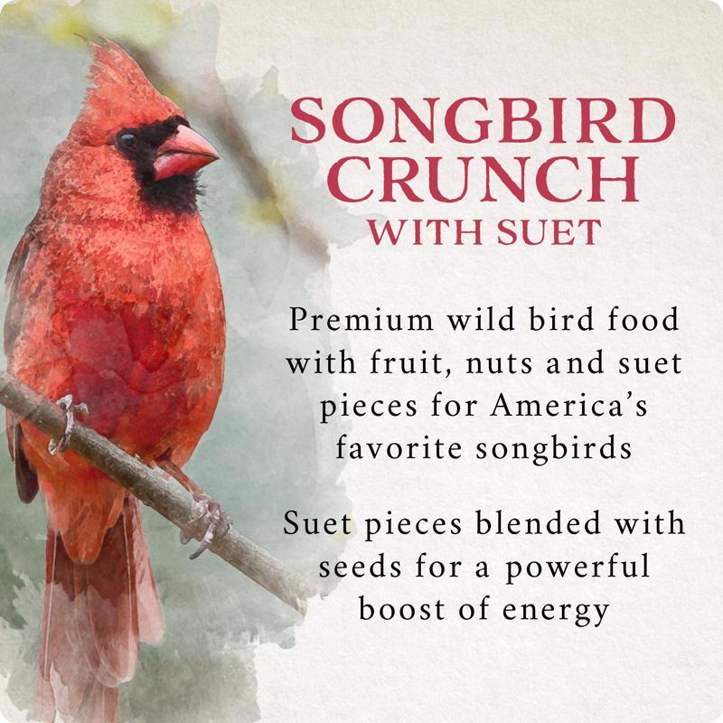 Songbird Selections Songbird Crunch Wild Bird Seed Wild Bird Food 10 lb