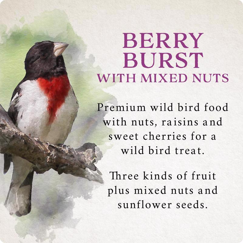 Songbird Selections Wild Bird Nuts Bird Seed 10 lb