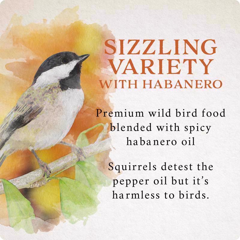 Songbird Selections Wild Bird Seed Wild Bird Food 10 lb
