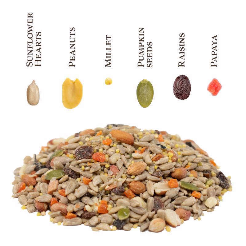 Songbird Selections No Waste Supreme with Fruit Wild Bird Seed Wild Bird Food 5 lb