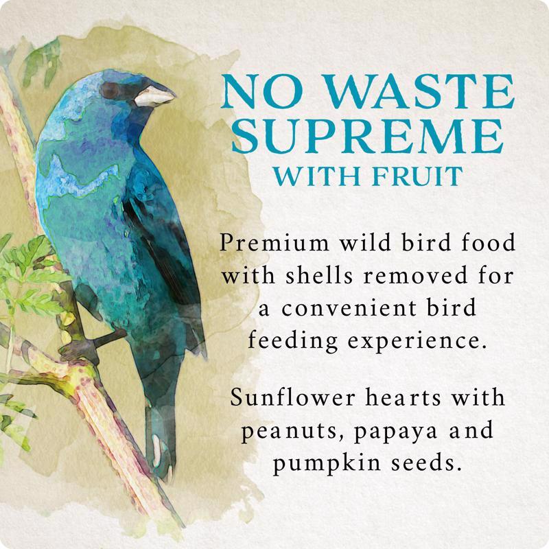 Songbird Selections No Waste Supreme with Fruit Wild Bird Seed Wild Bird Food 5 lb