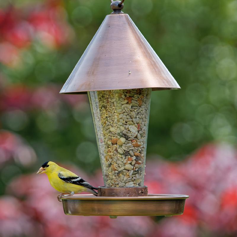 Songbird Selections No Waste Supreme with Fruit Wild Bird Seed Wild Bird Food 5 lb