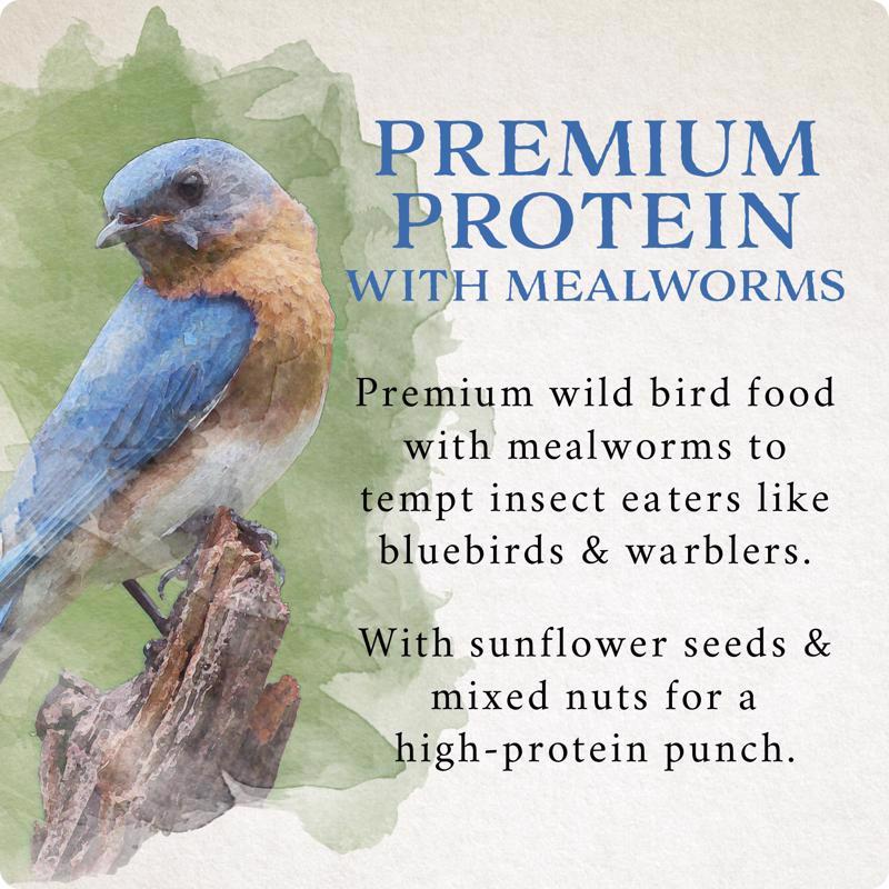 Songbird Selections Premium Protein with Mealworm Wild Bird Seed Wild Bird Food 10 lb