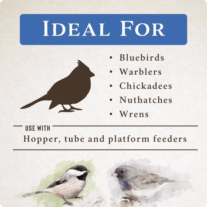Songbird Selections Premium Protein with Mealworm Wild Bird Seed Wild Bird Food 10 lb